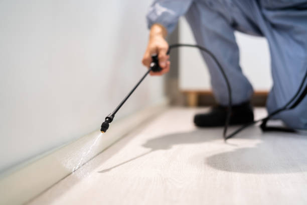 Licensed Mosquito Control service in Triangle, VA - Nex Pest Control