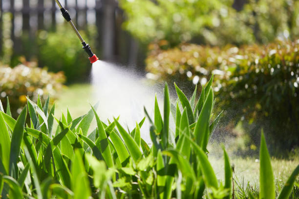 24/7 Emergency Mosquito Control experts in Triangle, VA