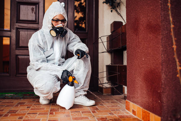 Reliable Mosquito Control contractor in Triangle, VA by Nex Pest Control