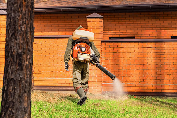 Top rated local Mosquito Control specialists in Triangle, VA